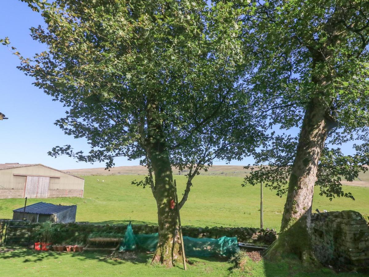 Sycamore Cottage Cotterdale 外观 照片